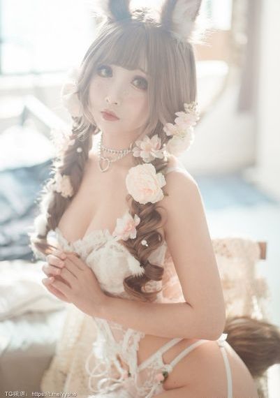 卫城惠州白蚁防治有限公司_免费视频下载电影在线观看