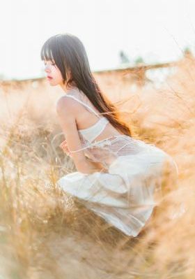 岛国精品视频一区二区三区_高清视频免费完整版在线观看