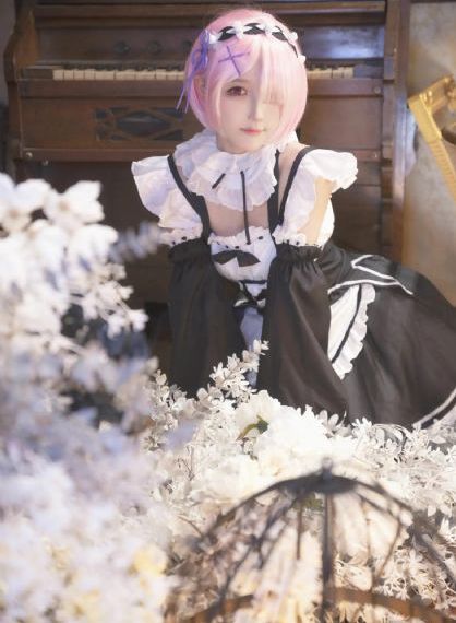 菠萝蜜网页版在线观看_bt磁力天堂高清在线观看