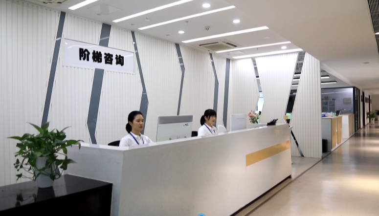 市政府質(zhì)量獎企業(yè)風(fēng)采②|階梯項目咨詢 高品質(zhì)服務(wù)助力項目“騰飛”